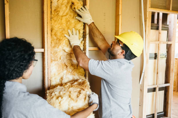 Best Wall Insulation Installation  in Martins Ferry, OH